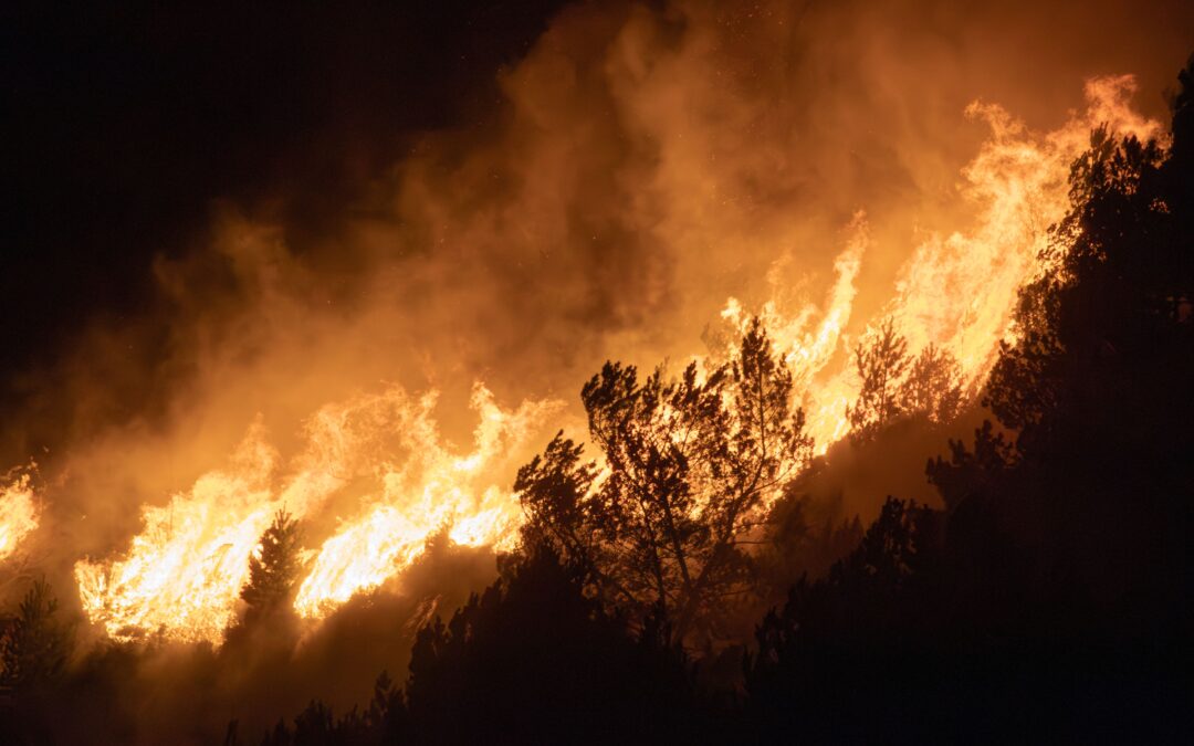 Incendies : quand la crise révèle les limites de l&rsquo;anticipation et de la logistique